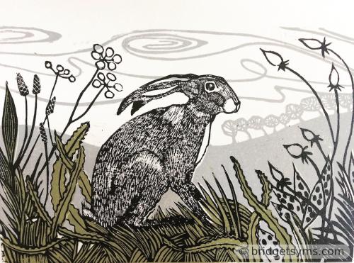 Hare in the Landscape