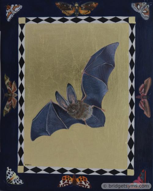 British Bat and British Moths