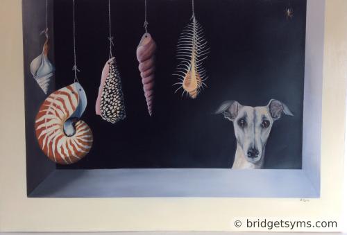 Whippets with Shells
