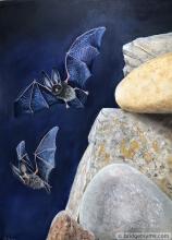 Bats flying over Boulders