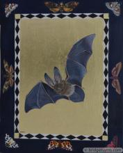 British Bat and British Moths