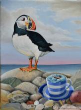 Puffin 