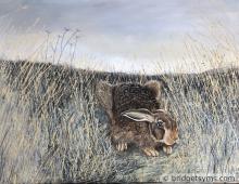 Hare in a Winter landscape