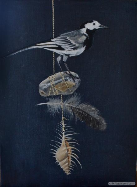 Pied Wagtail and found objects
